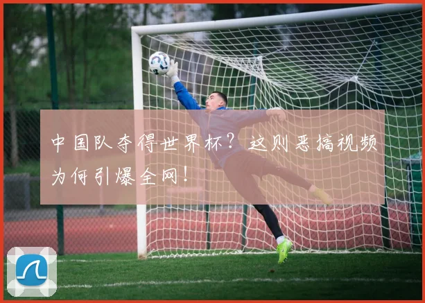 中国队夺得世界杯？这则恶搞视频为何引爆全网！