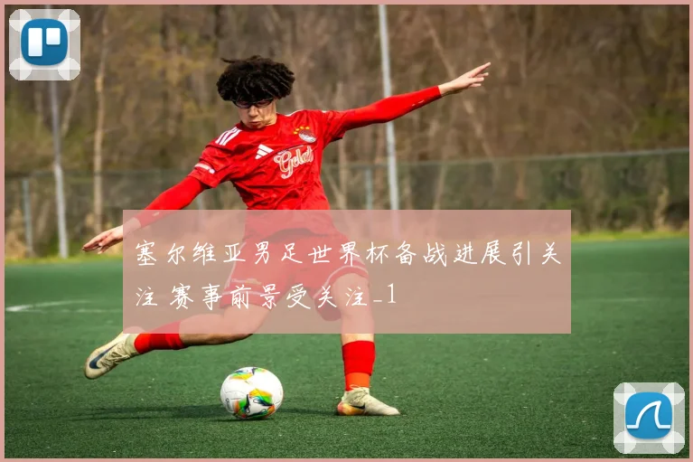 塞尔维亚男足世界杯备战进展引关注 赛事前景受关注_1