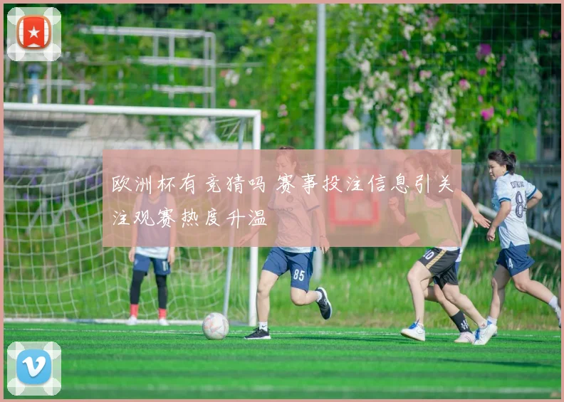 欧洲杯有竞猜吗 赛事投注信息引关注观赛热度升温