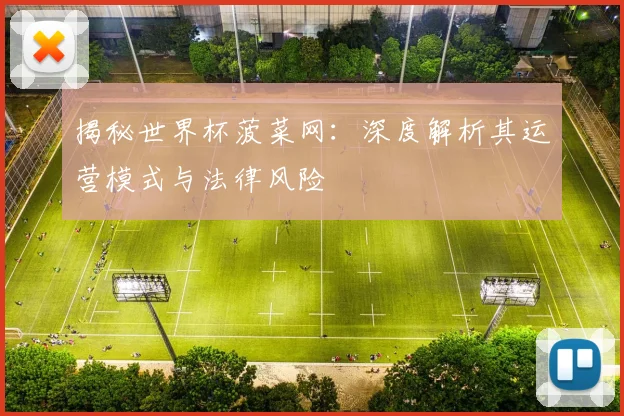 揭秘世界杯菠菜网：深度解析其运营模式与法律风险