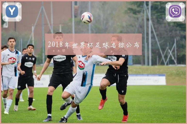 2018年世界杯足球名称公布