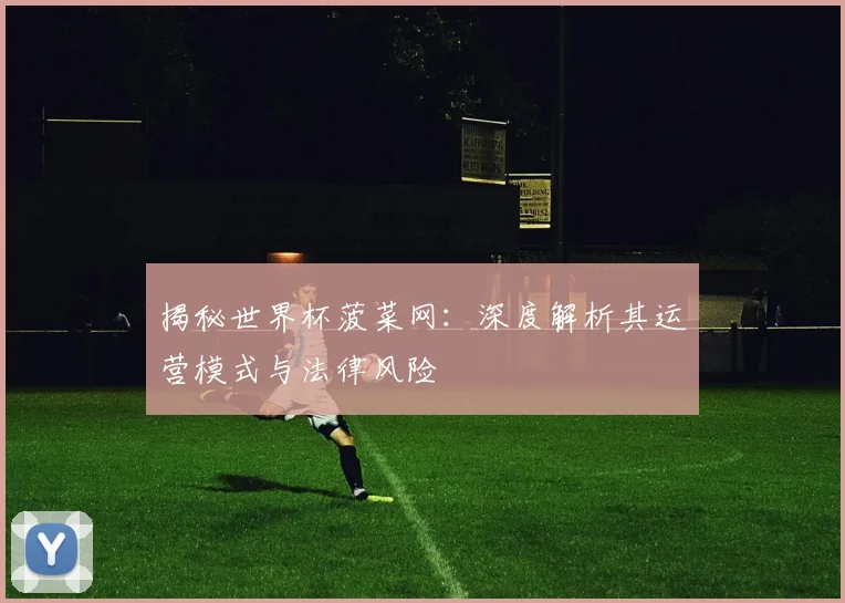 揭秘世界杯菠菜网:深度解析其运营模式与法律风险